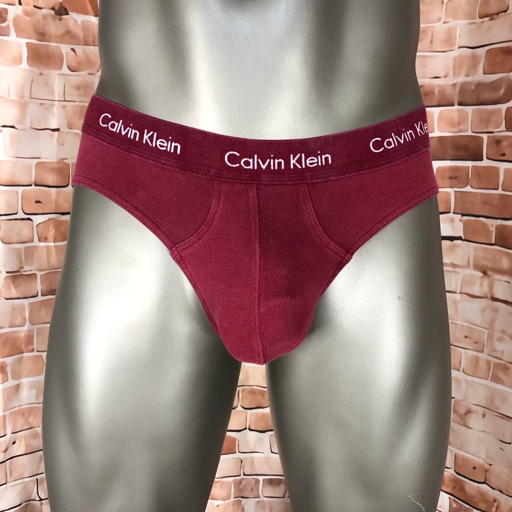 Calvin Klein Men's Red Briefs